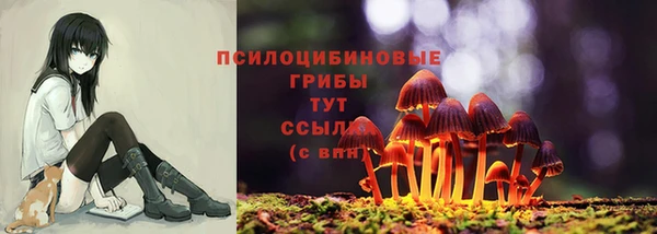 каннабис Магас