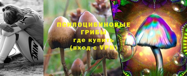 каннабис Магас