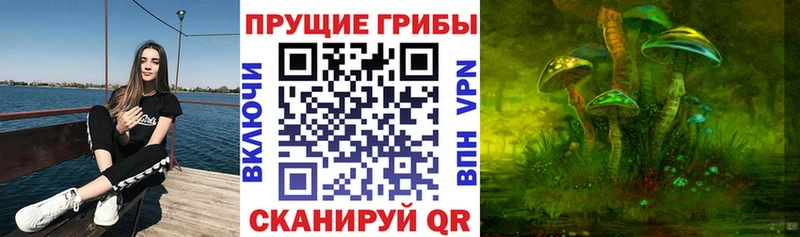 где продают   Троицк  Галлюциногенные грибы MAGIC MUSHROOMS 