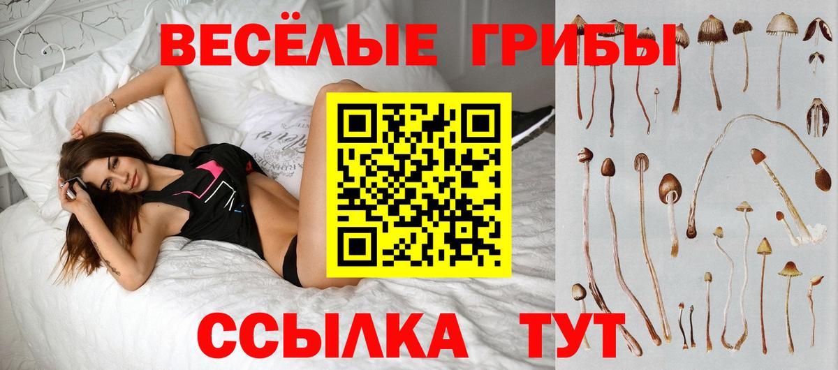 цена   Псилоцибиновые грибы прущие грибы  Вход с VPN  Галлюциногенные грибы MAGIC MUSHROOMS  Троицк 
